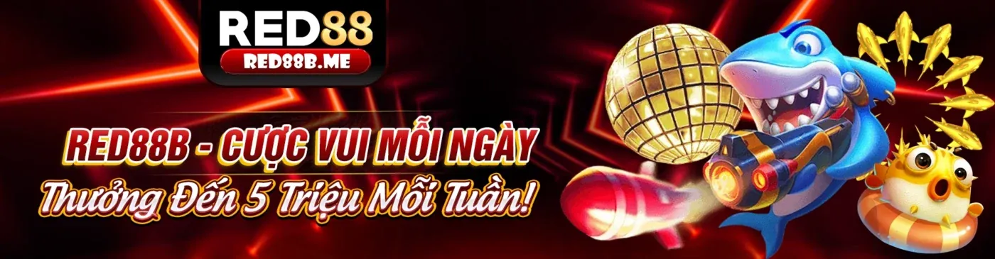 Hình ảnh chính blog ev99vn